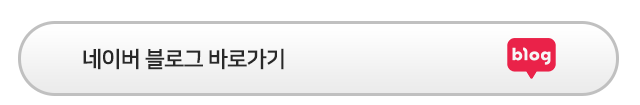 블로그 바로가기